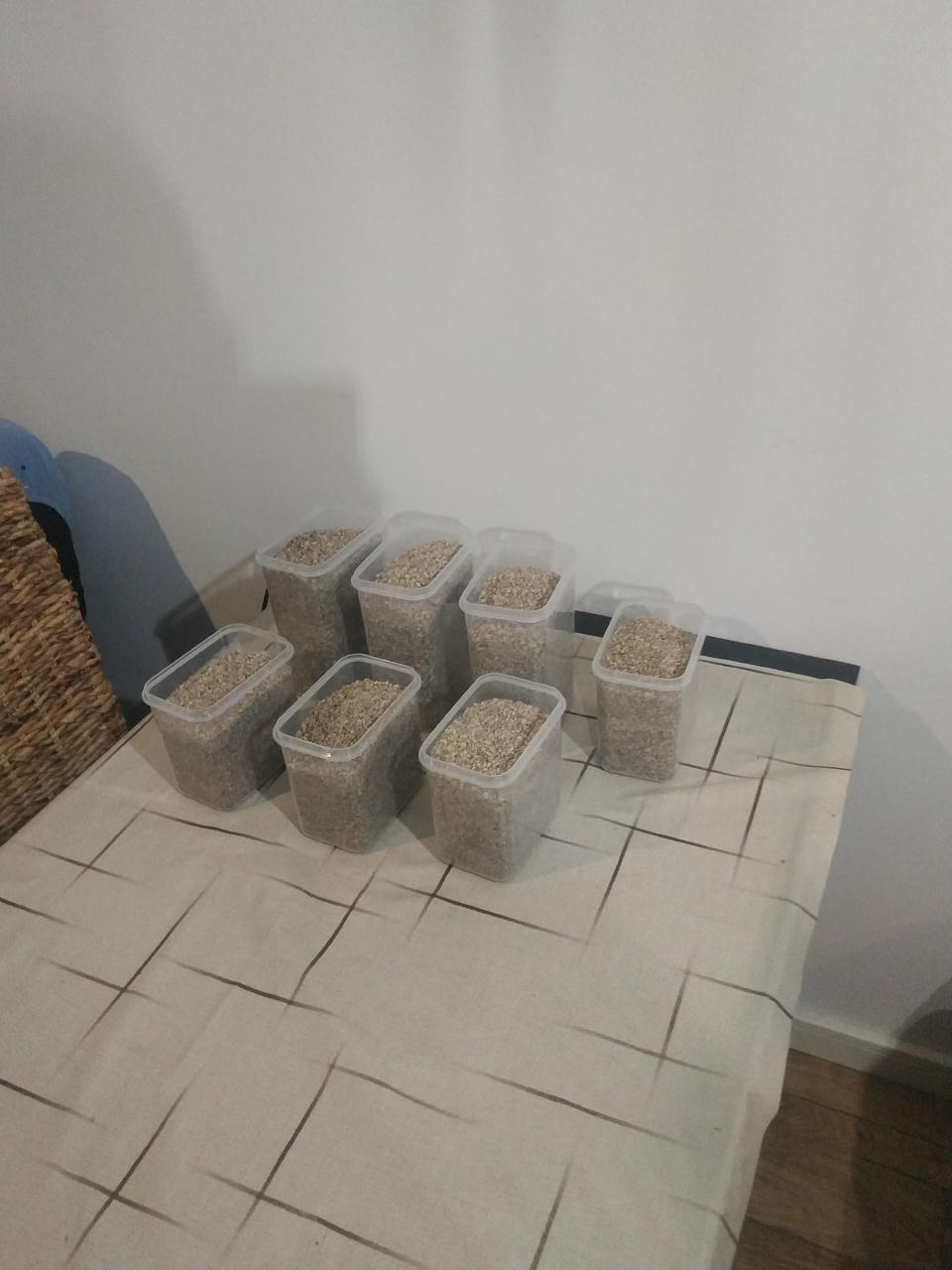 Na stole pokrytym ceratą, trzy due i cztery średnie pojemniki pełne mielonki orzechowo-ziarenkowej.